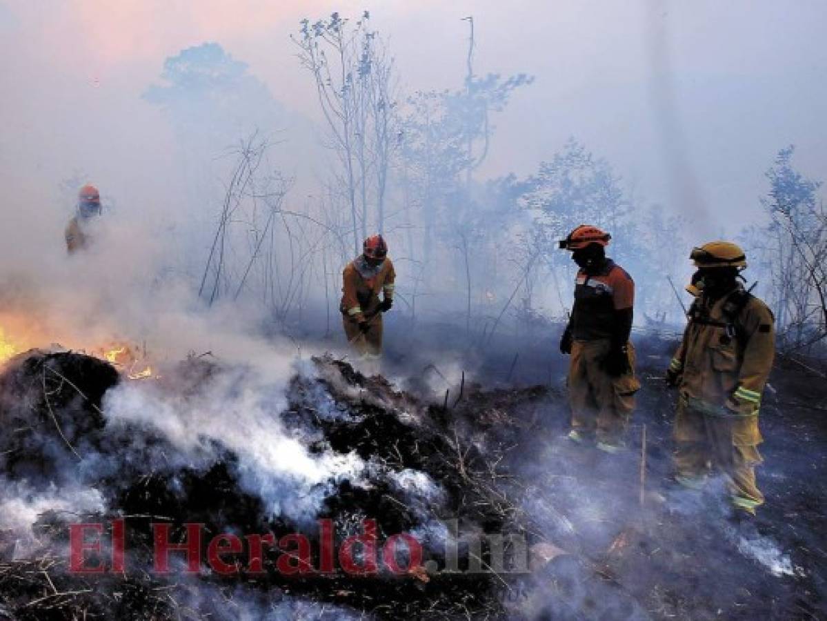 Incendios en Honduras han consumido 9,581 hectáreas de bosques en 2019