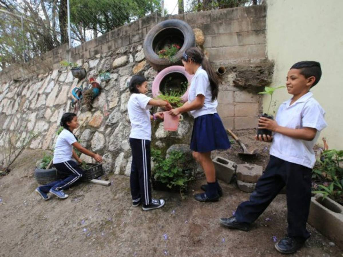Más de 6,000 niños buscan alcanzar la medalla verde en la capital