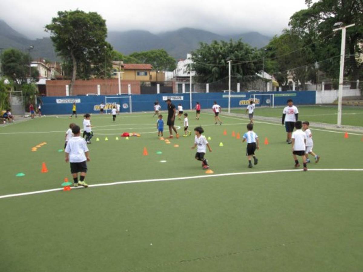 En el 2019, un mini complejo para ellos