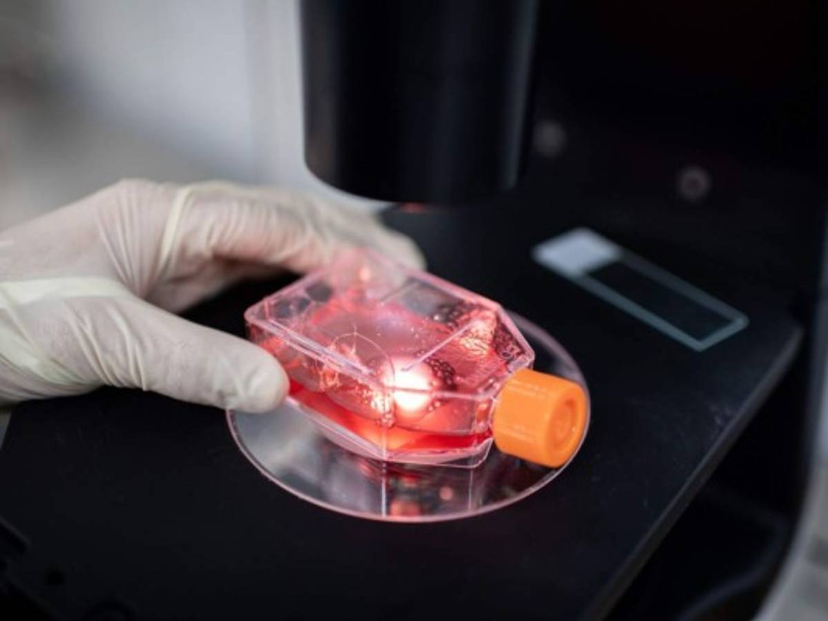 'Evidencia significativa' pero no 'certeza' de que virus surgió en Wuhan  