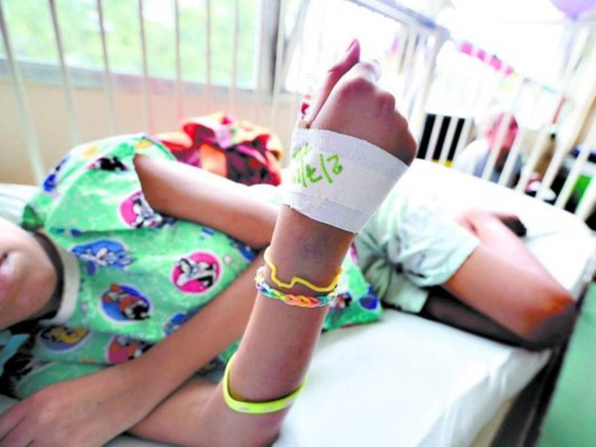 Organización Panamericana de la Salud espera un informe de la arbovirosis