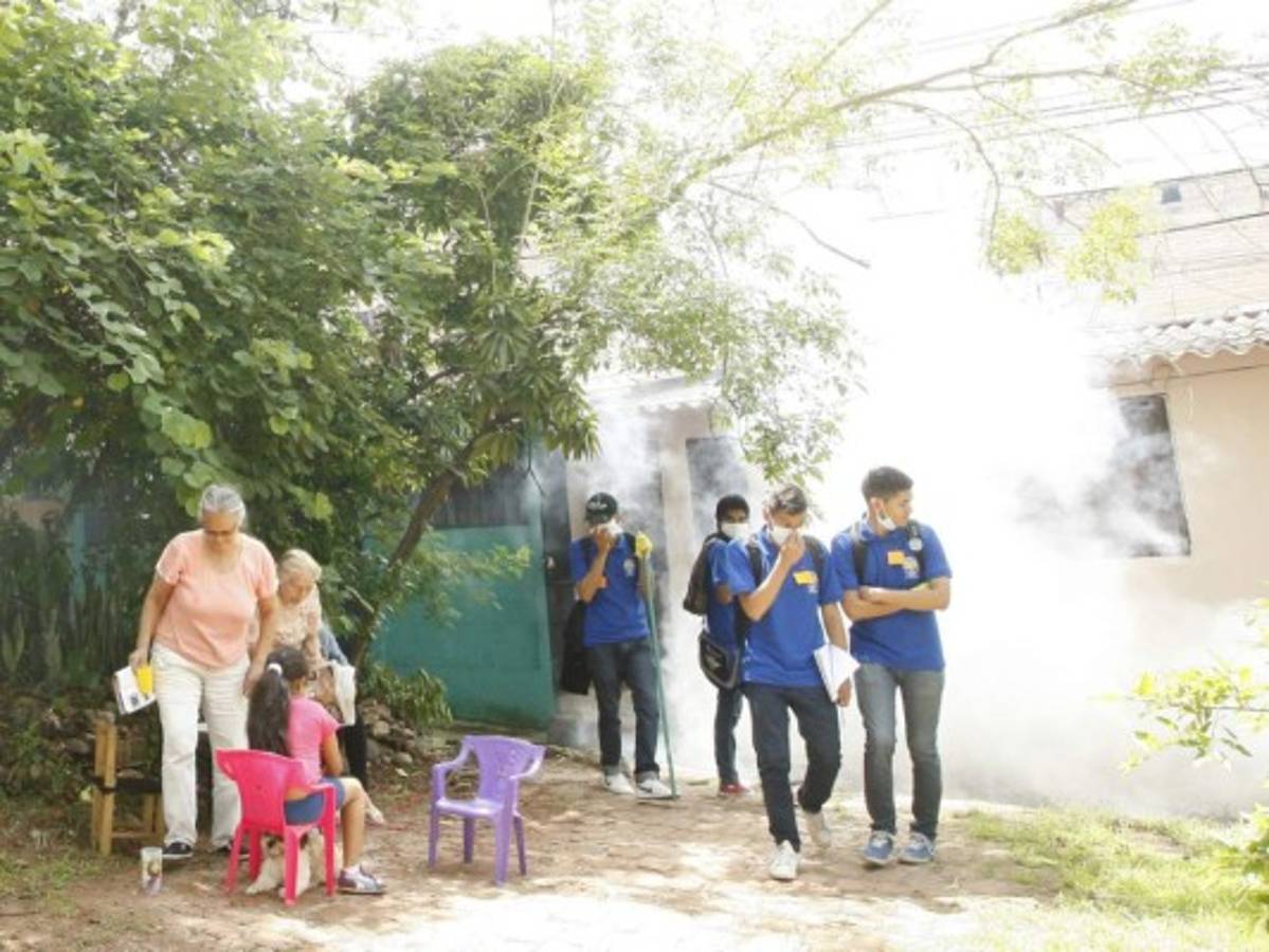 Comenzó la etapa crítica en cuanto al riesgo que genera el Aedes aegypti