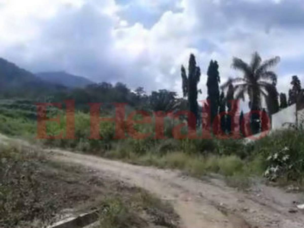 Descubren supuesto cementerio clandestino en San Pedro Sula