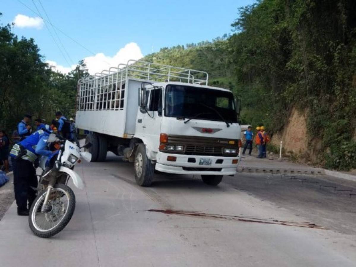 Policía de Tránsito es atropellado por camión que transportaba ganado en Copán