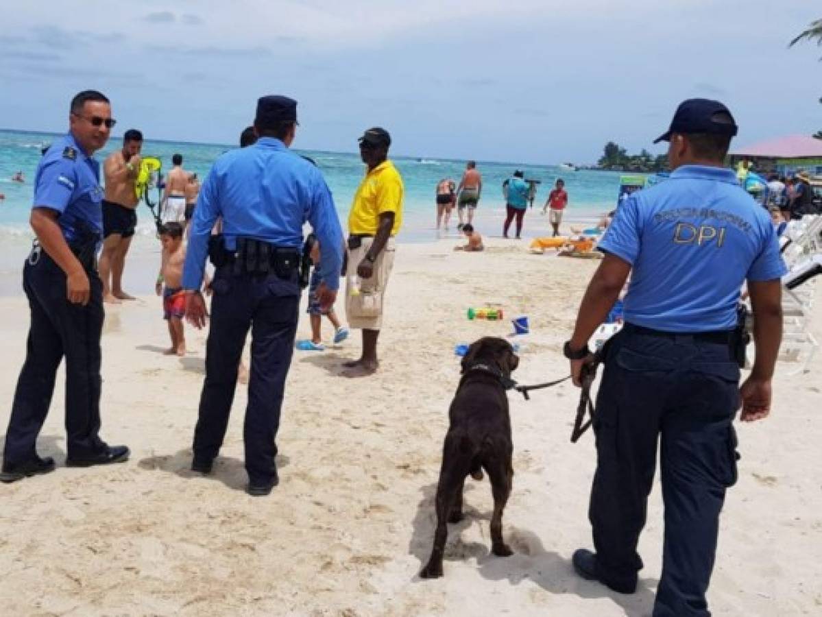 Vendedores estafaban a turistas con cigarrillos de estiércol de vaca en Roatán