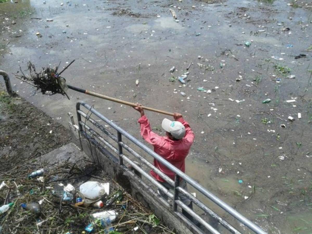 Lluvias arrastran toneladas de basura a Los Laureles   