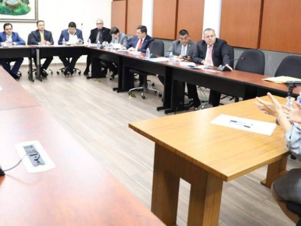 Audiencias públicas de aspirantes a comisionados del RNP