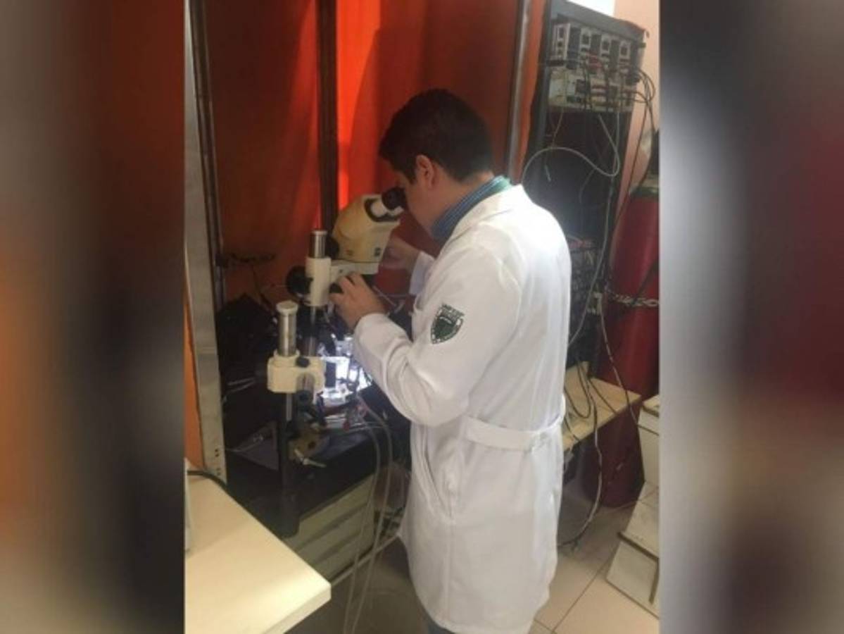 Durante su doctorado Reyes tuvo que vencer numerosos obstáculos, como el manejo de un nuevo idioma, pero gracias a su constancia, ahora habla español, portugués e inglés, logrando publicar sus investigaciones en esta última lengua.