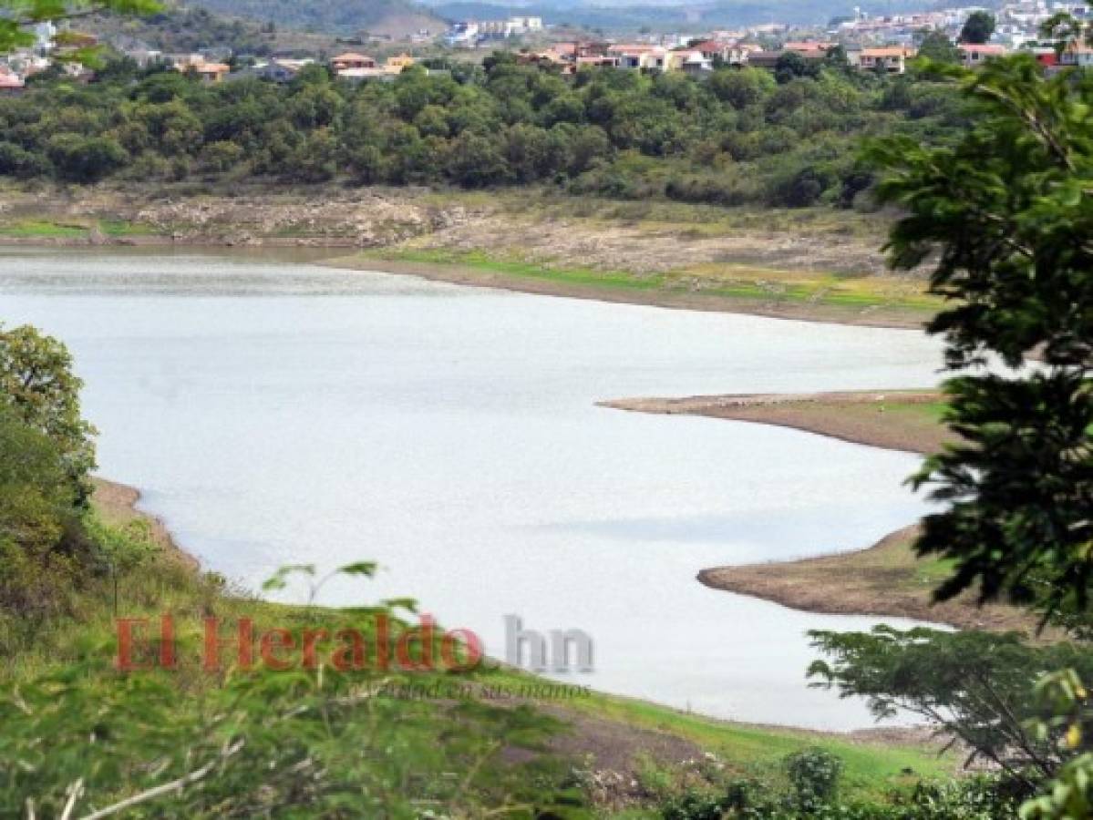 SANAA: Residuos orgánicos arrastrados por lluvias provocaron mal olor en agua