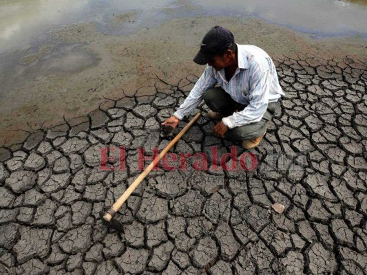 Este lunes definirán estrategia a seguir en la emergencia por sequía