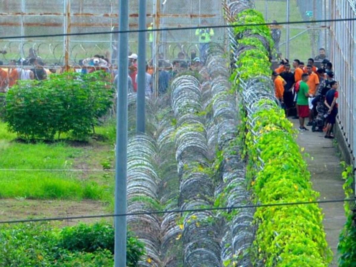 Bandas enfrentadas en cárceles de Ecuador bajo influencia de mexicanas y colombianas