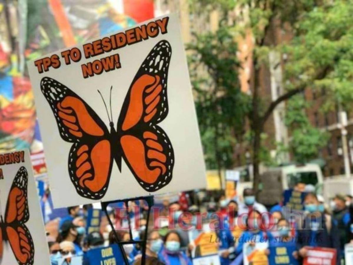 La Alianza Nacional TPS es la que más ha trabajado en Estados Unidos por la causa. Foto: El Heraldo