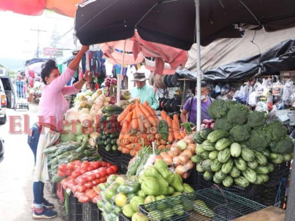 La escasez de alimentos es una de las mayores preocupaciones. Foto: Aarón Canales/ EL HERALDO