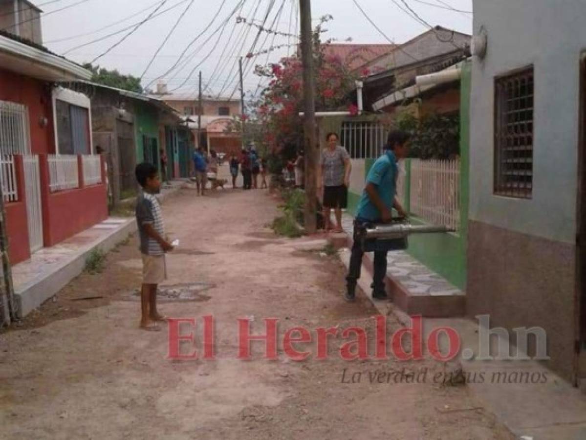 Fumigarán dos mil casas la próxima semana en lucha contra el dengue