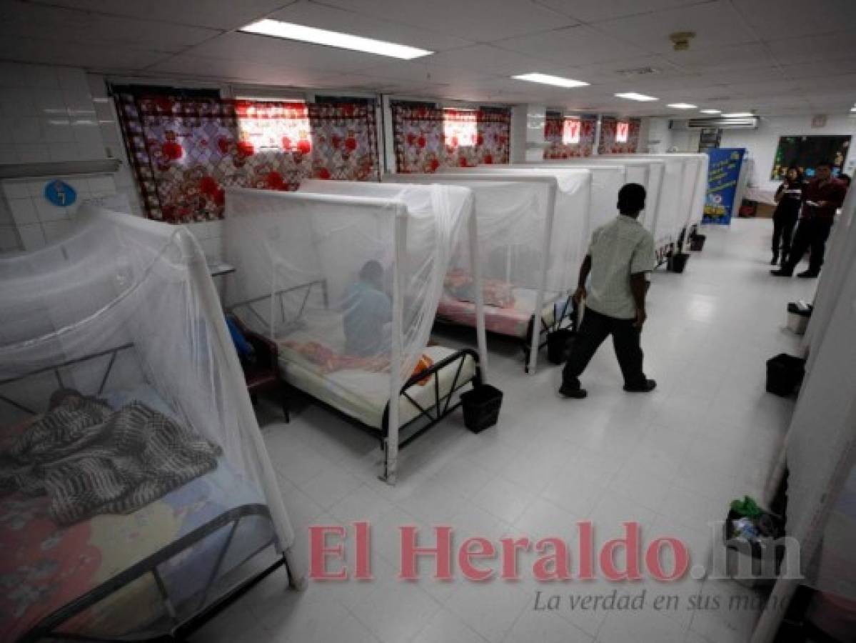 Salud reporta 62 muertes confirmadas por el dengue