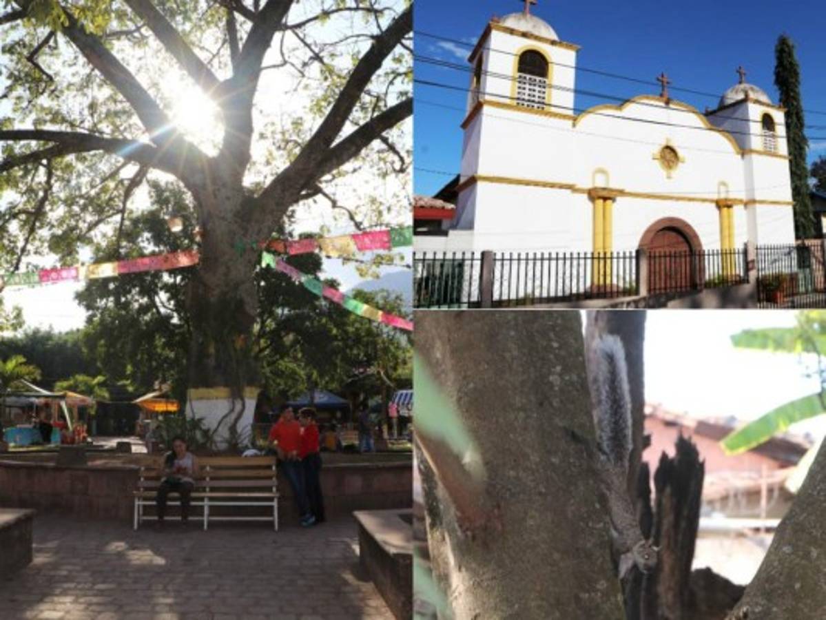 Tierra Adentro: Villa de San Francisco, cuna de tradiciones y reverencia a la naturaleza
