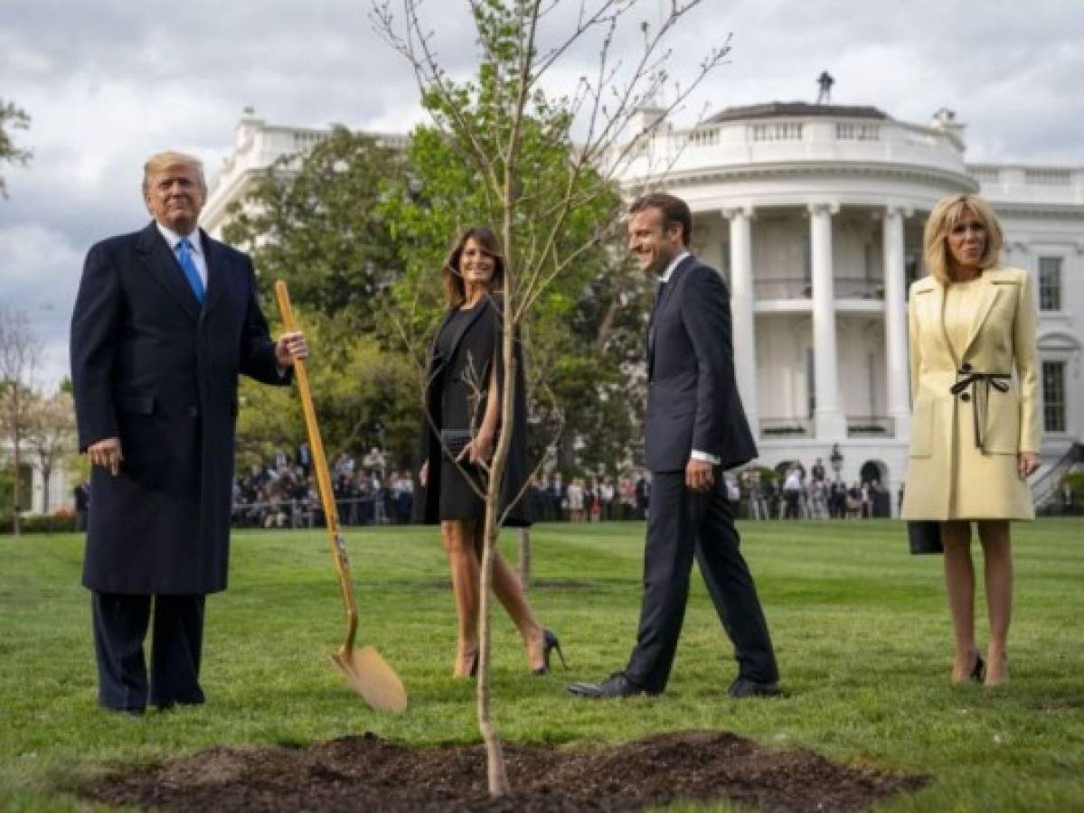 El árbol que plantaron Trump y Macron como señal de amistad se murió