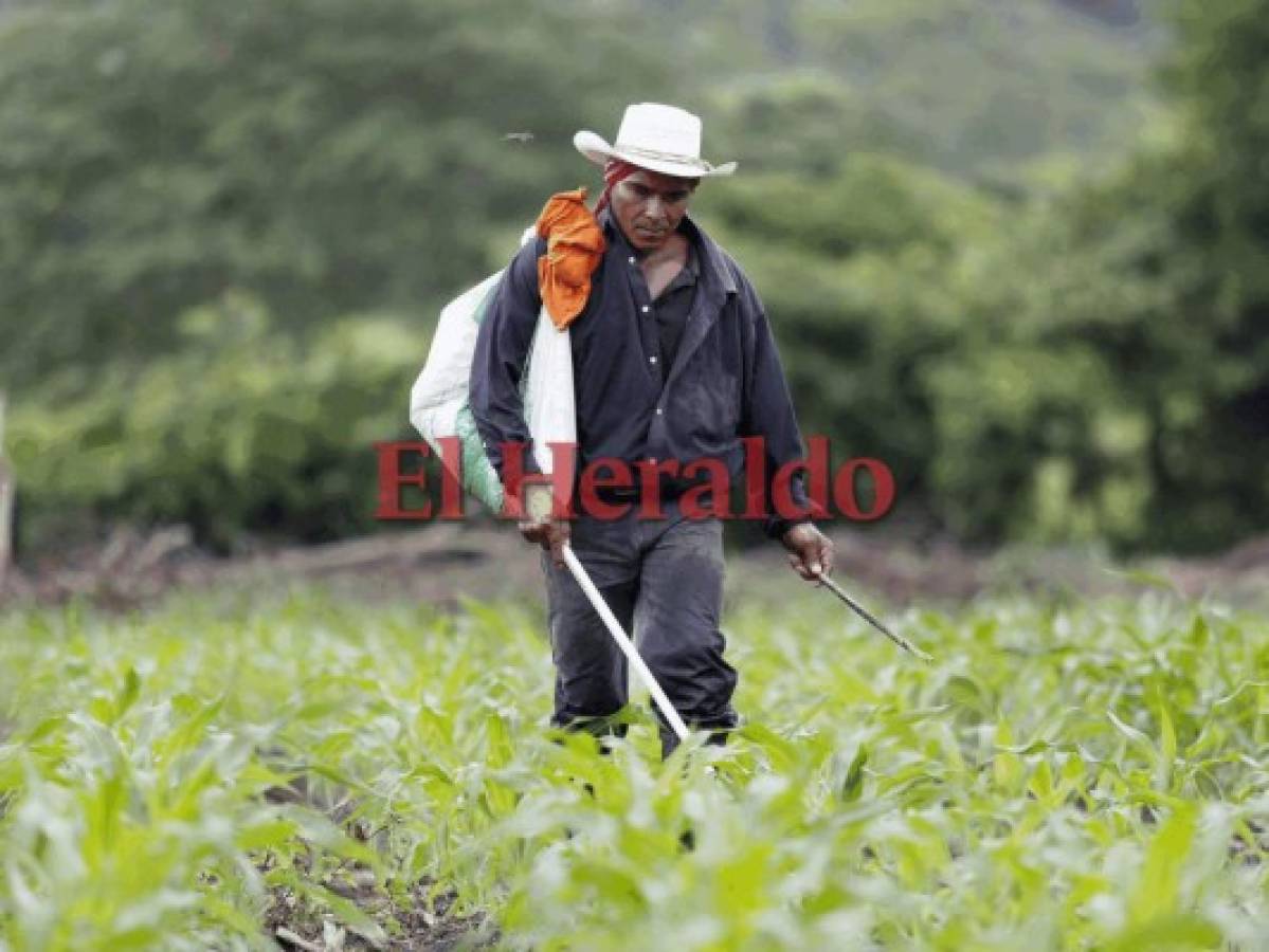 206 millones de lempiras en un proyecto de riego que no se ve en Jamastrán