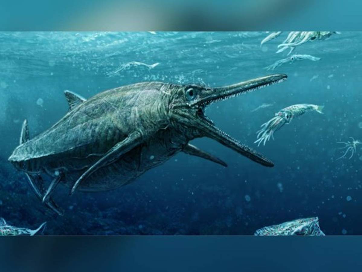 Un monstruo marino del Jurásico sale del anonimato