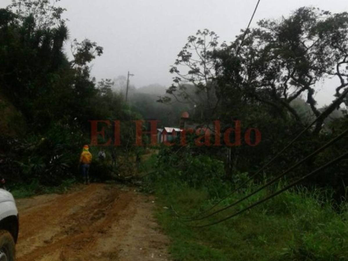 Según informe de EHH, servicio eléctrico en el país se mantiene con calidad pese a lluvias