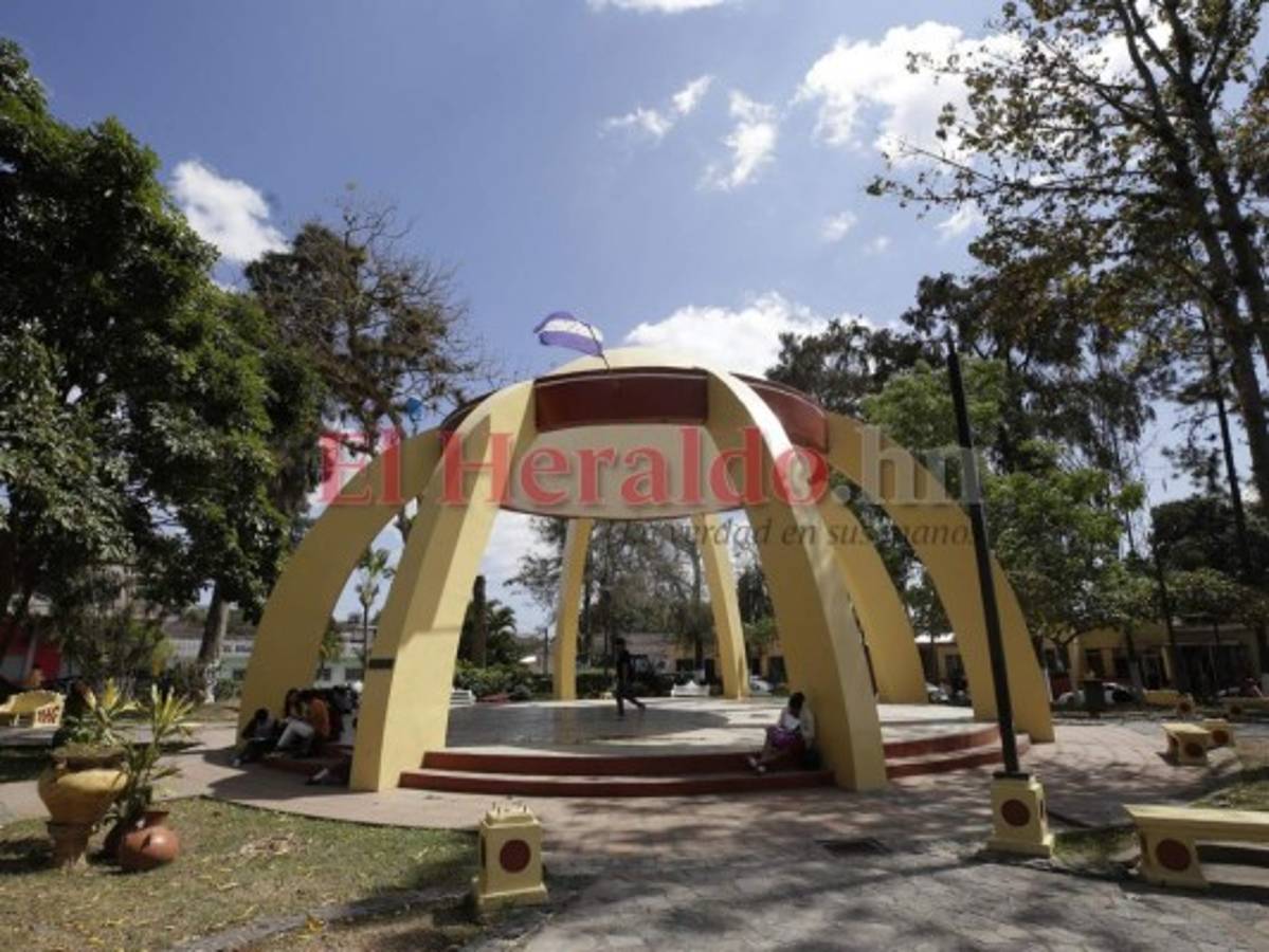 Cancelan los festivales del Pino y del Café por el coronavirus