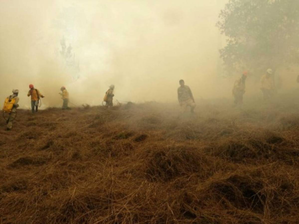 Voraz incendio consume unas 30 hectáreas de bosque de la capital