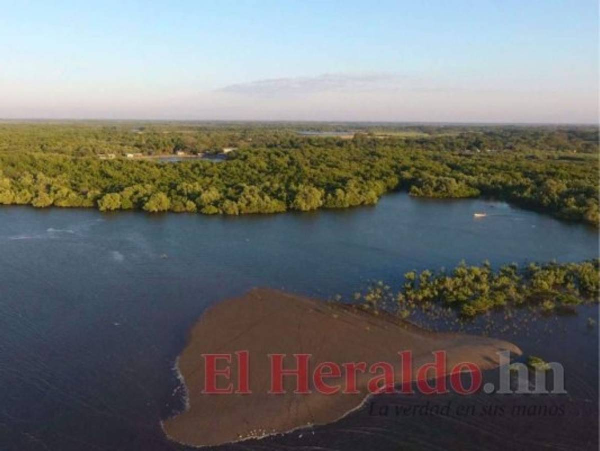El Golfo de Fonseca tiene hermosos manglares para ser visitados en familia durante el feriado. Foto: El Heraldo
