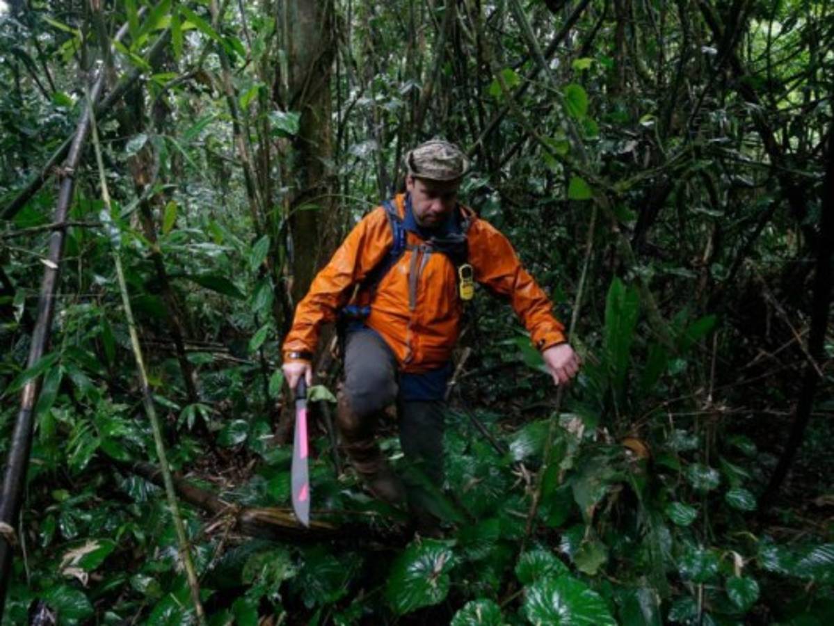 En travesía por La Mosquitía, exploradores de Nat Geo se contagiaron de Leishmaniasis