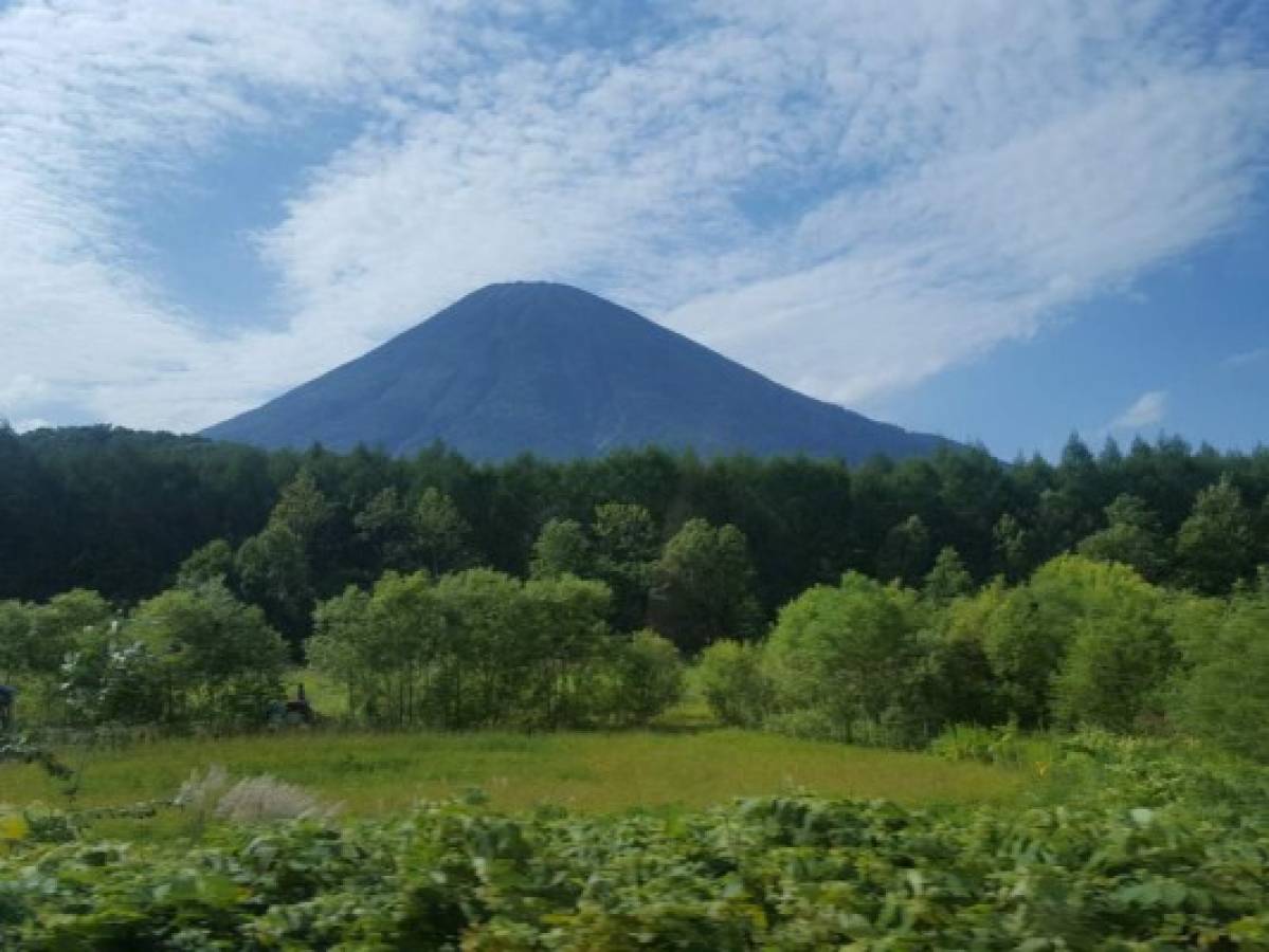 Niseko, ciudad modelo ecológica