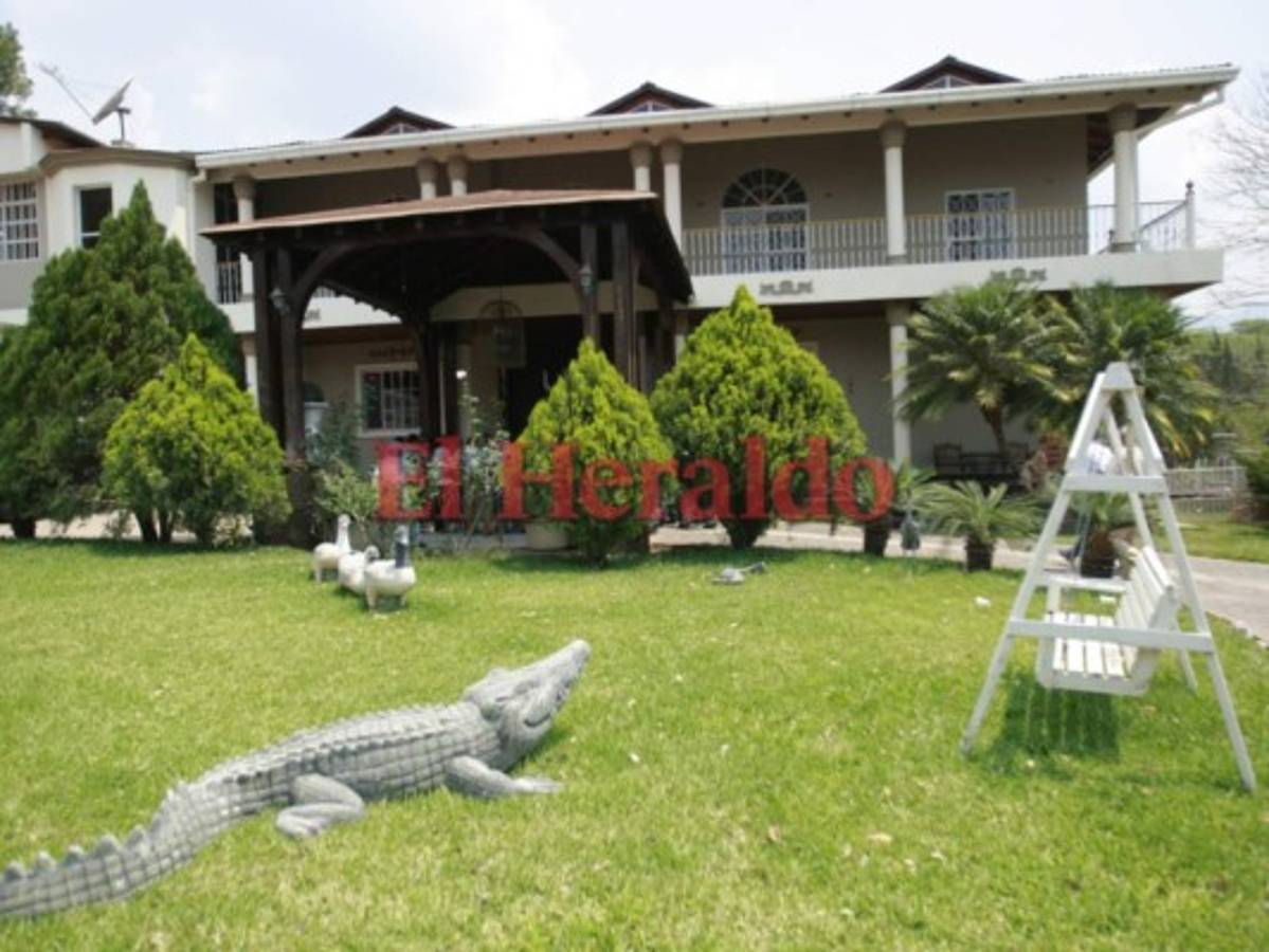 Investigarán a jueza que conoce caso de Rosa Elena de Lobo, 'Mi Rosa”