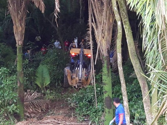 Del profesor sería cuerpo hallando en el interior de un barril