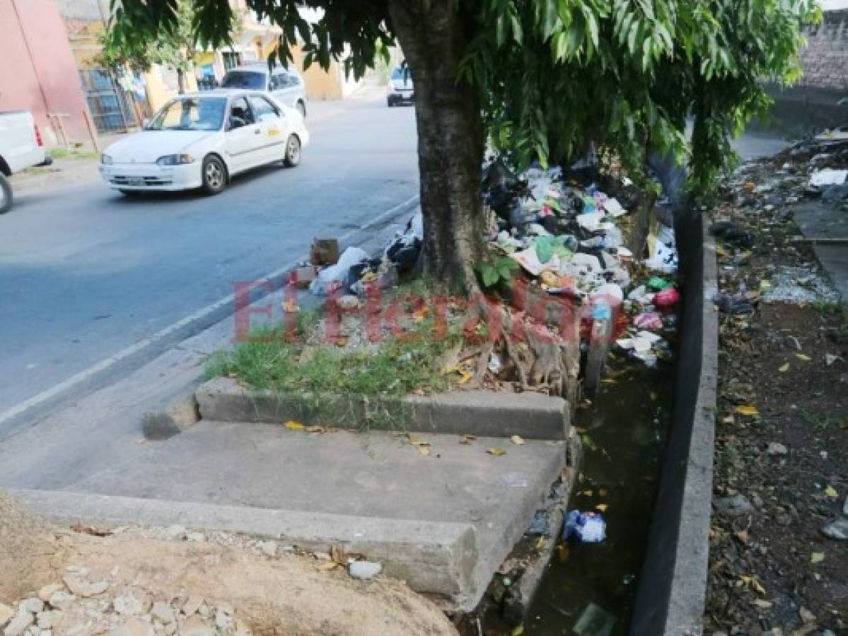 Cuneta llena de basura en Residencial Plaza de Tegucigalpa