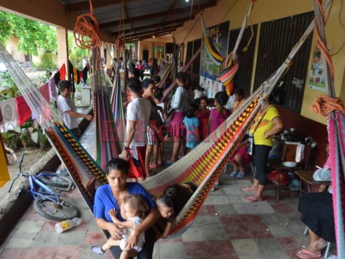El sur de Honduras urge ayuda ante pérdida de cultivos por las lluvias