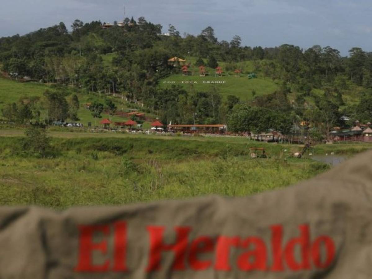 Unos 20,000 lempiras a la semana gastan en la compra de frutas y verduras para alimentar a los animales. Foto: EL HERALDO.