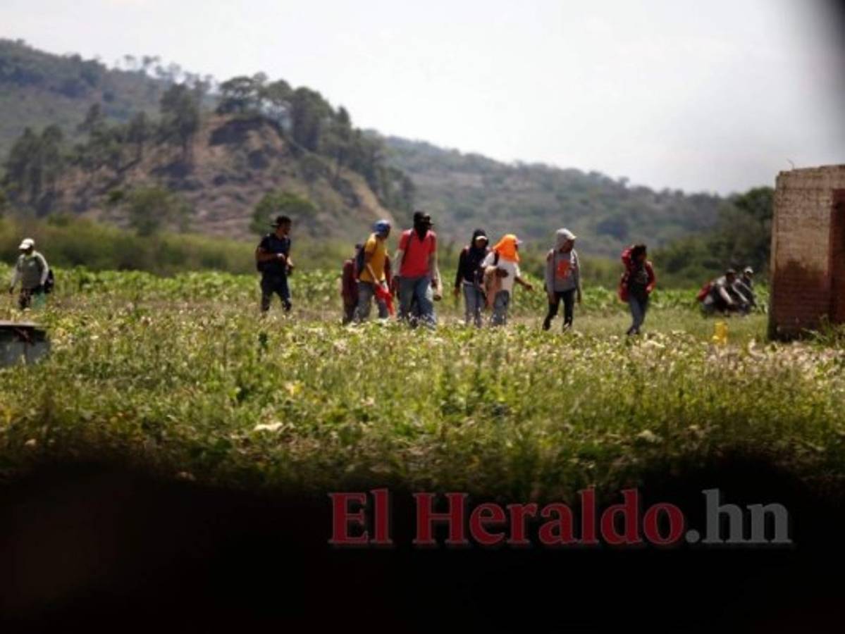 Desde hace más de ocho años otras empresas como Agripac y Caribean se ubicaron en este sector. Foto: El Heraldo