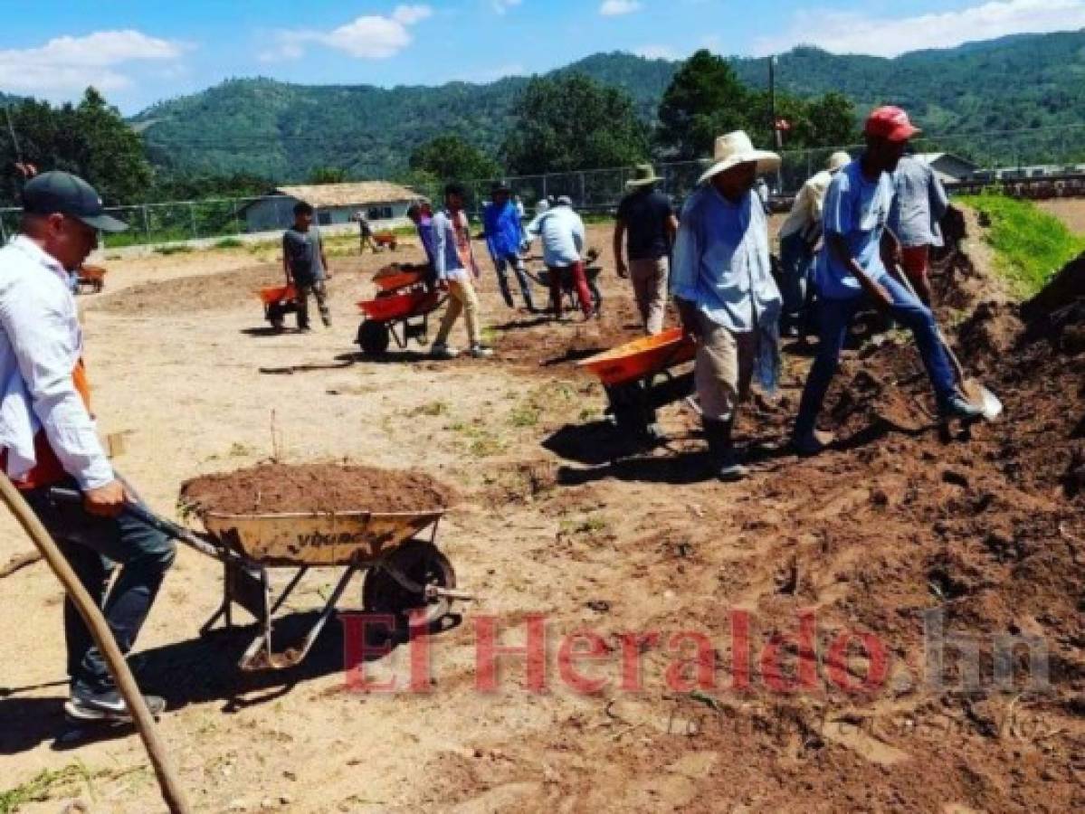 El engramillado para los estadios será parte de la promoción del deporte. Foto: El Heraldo