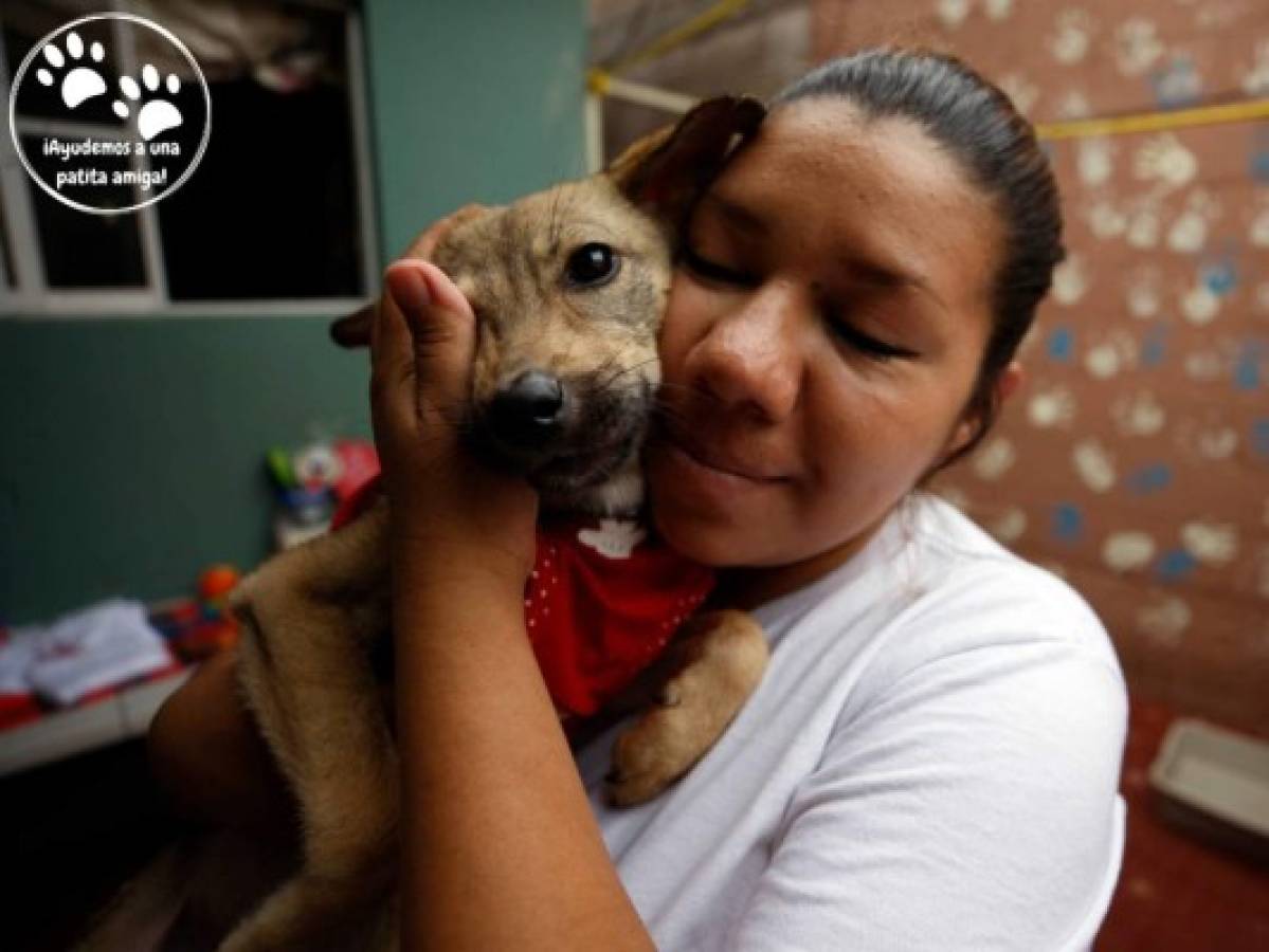 Una voluntaria de ARI (Asociación de Rescatistas Independientes) consintiendo a una perrita rescatada.