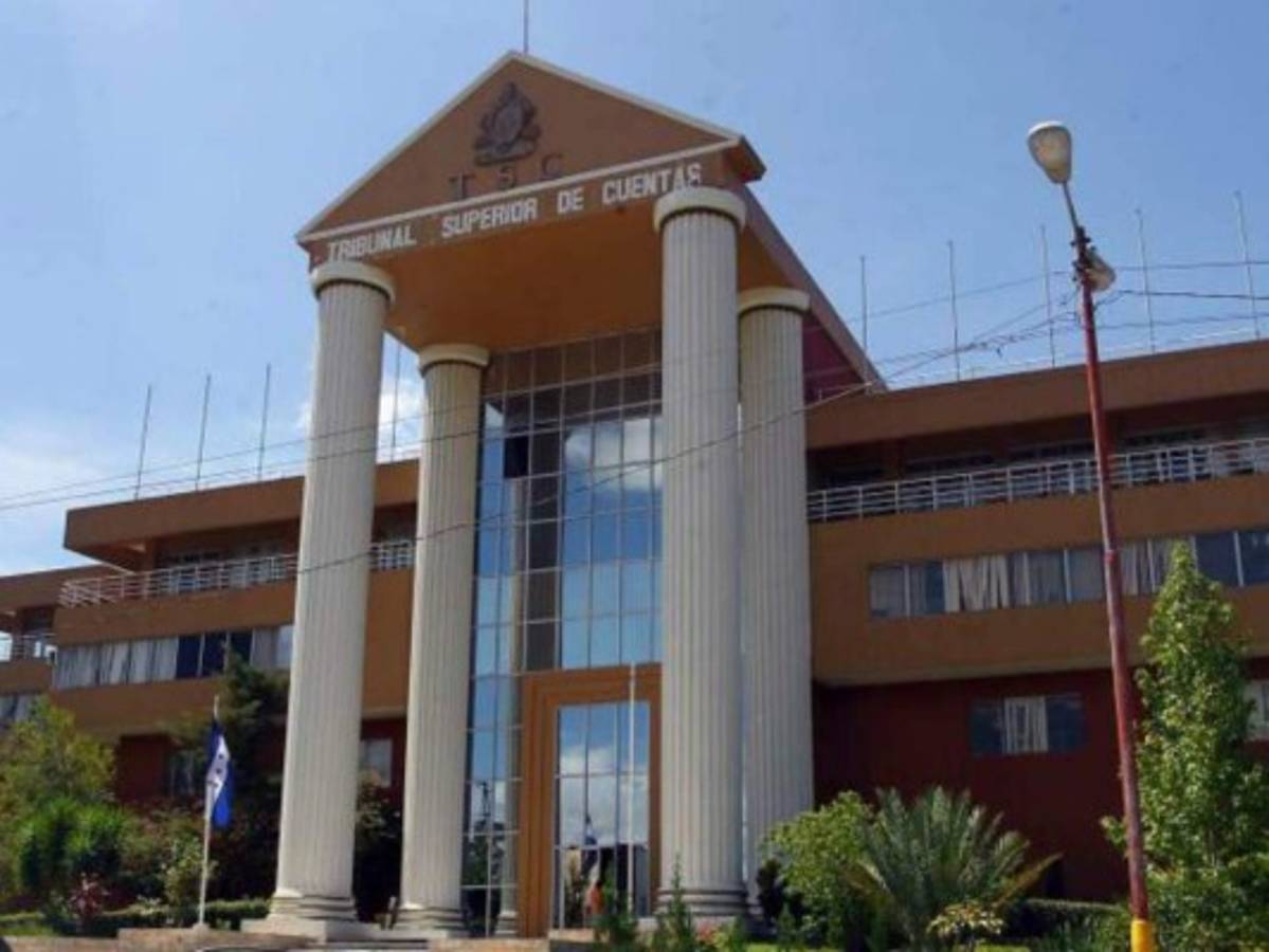 TSC emplaza a ONGs para que expliquen dónde invirtieron fondos del Estado