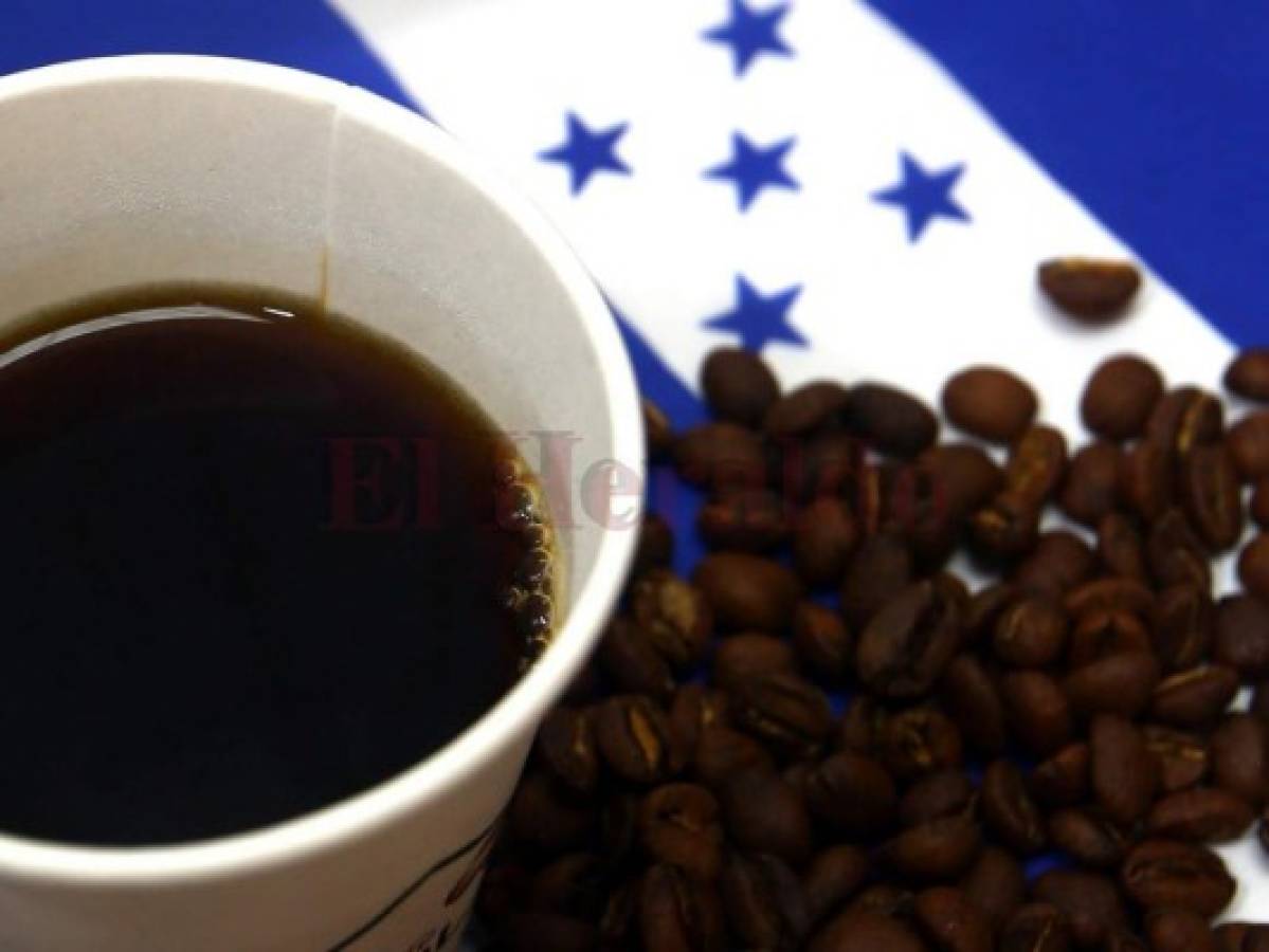 El valor exportado de café de Honduras cae en $166 millones