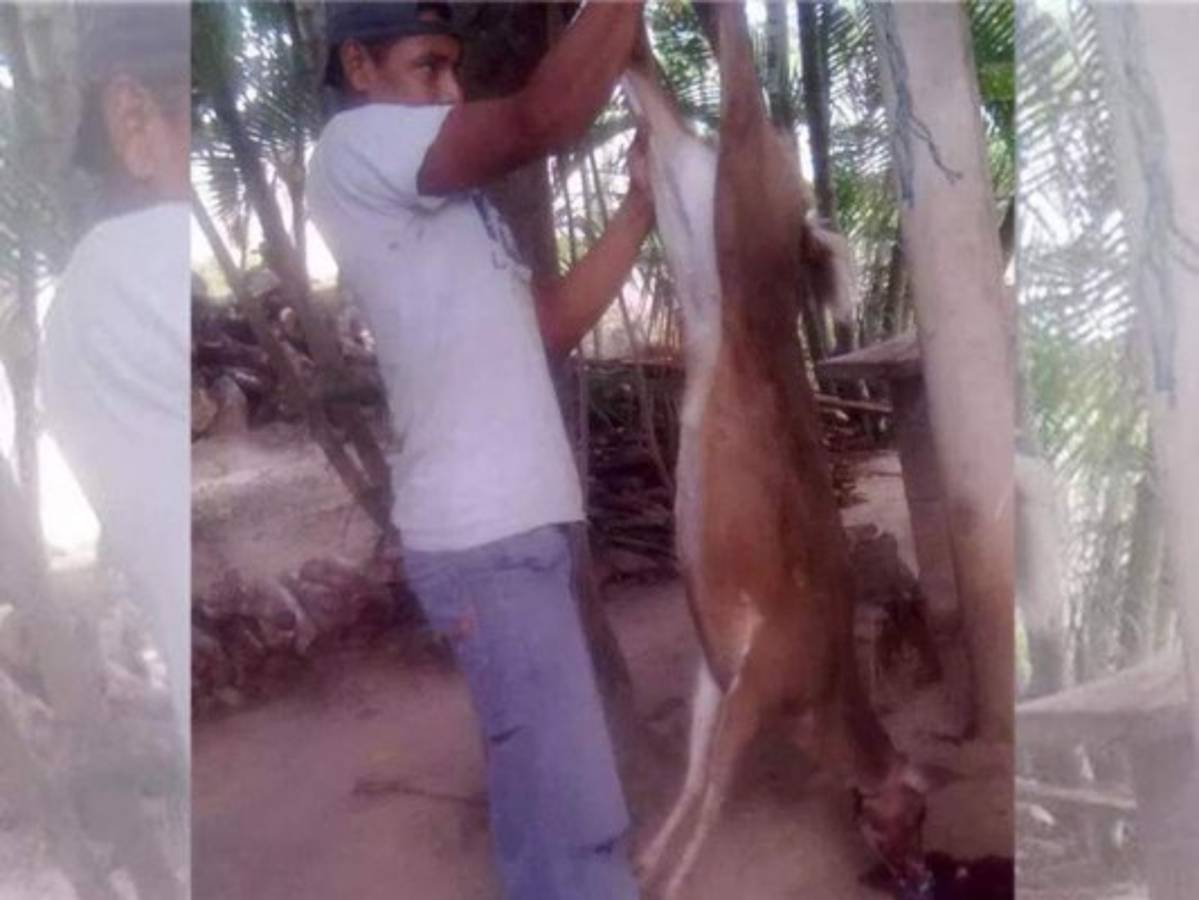 Los diez sucesos de la semana en ElHeraldo.hn