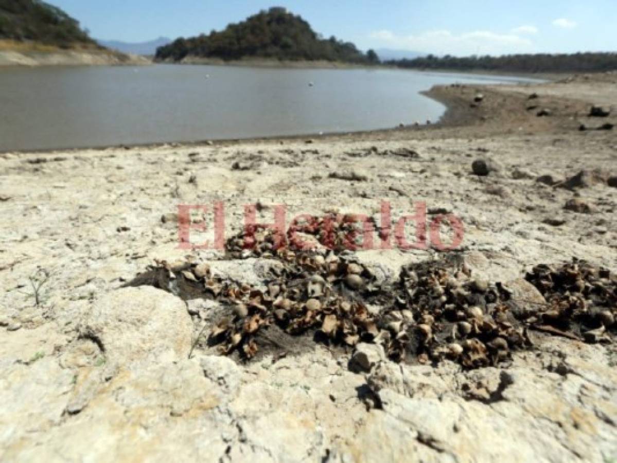 Honduras: Racionamientos de agua dependerán del fenómeno de El Niño