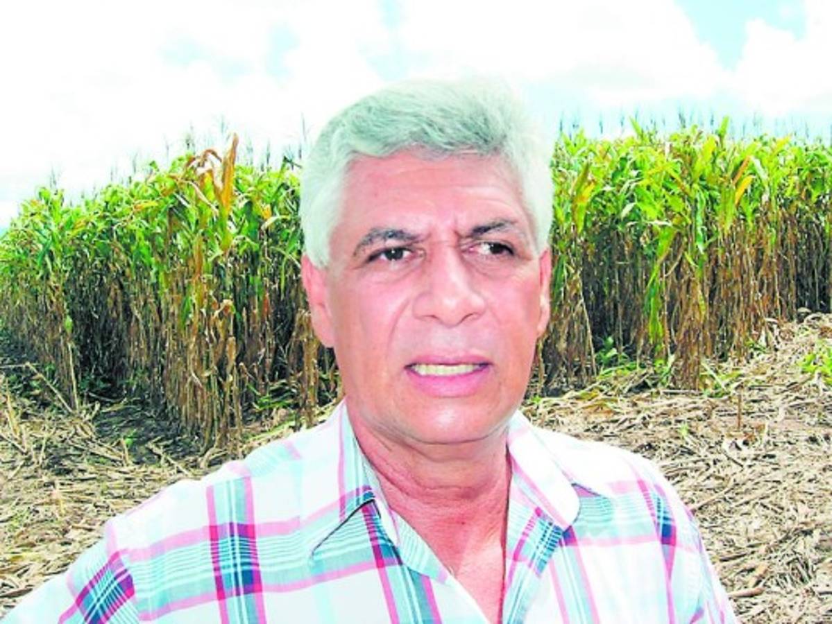 Honduras: 80% de productores en central de riesgo