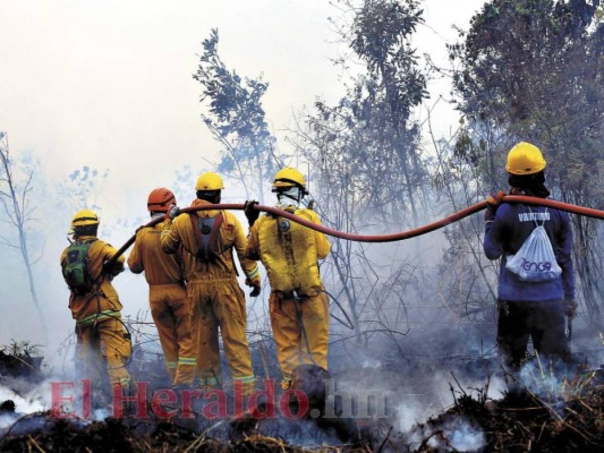 Incendios en Honduras han consumido 9,581 hectáreas de bosques en 2019