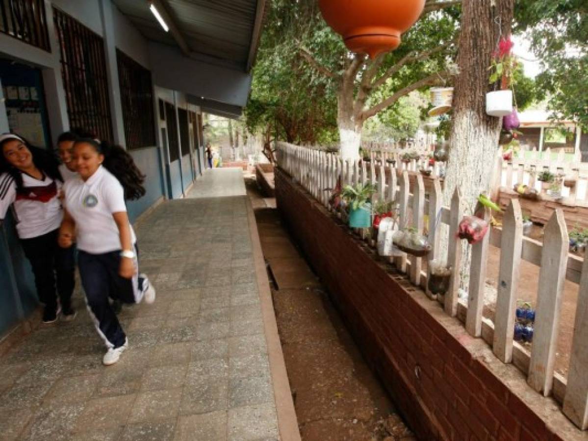 CEB se transforman a través del reto ecológico educativo