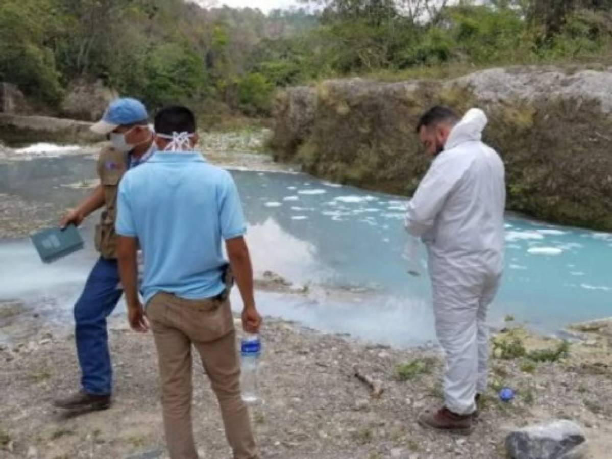 Cientos de peces mueren por derrame de peligroso ácido en el río Chamelecón