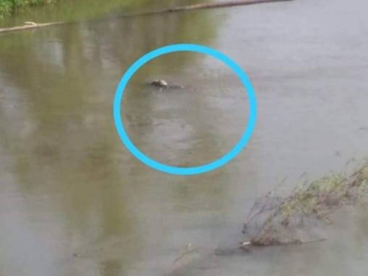 Rescatan cuerpo de un hombre ahogado en río Aguán en Tocoa