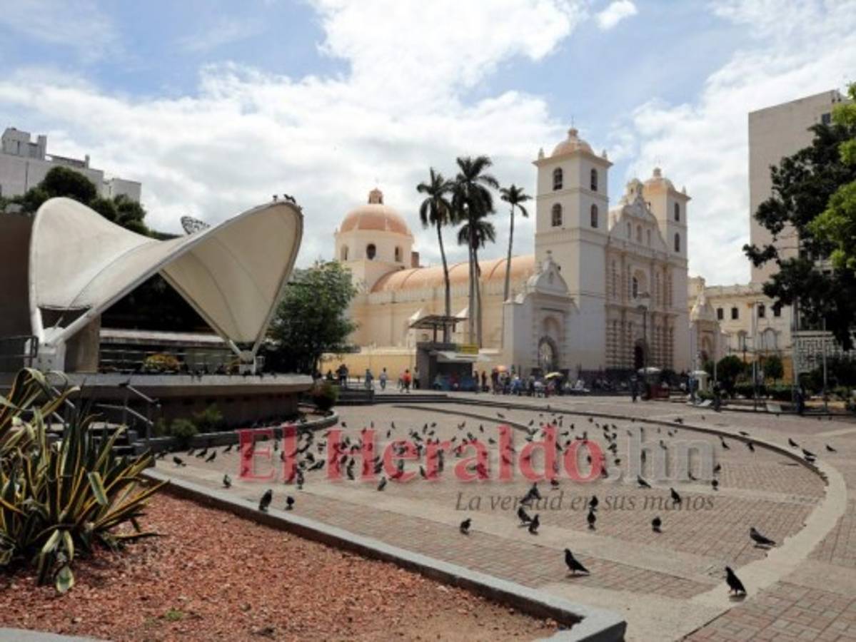 Camilo Atala: Se debe tener un plan de país hacia la recuperación económica