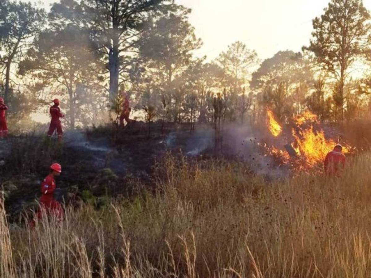 A 45 suben los incendios forestales en la capital de Honduras