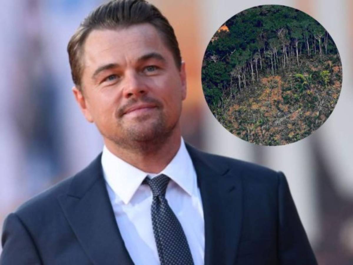 Para salvar la Amazonia, Leonardo DiCaprio dona 5 millones de dólares
