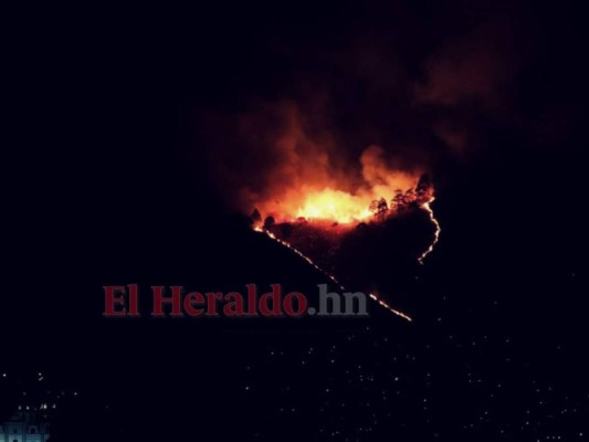 Incendio consume bosque del sector La Montañita en la capital